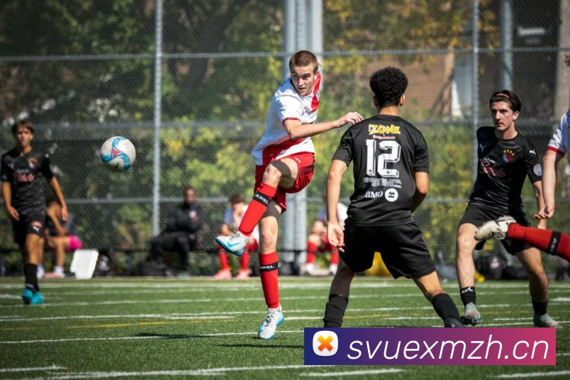 米兰体育网页服务体系